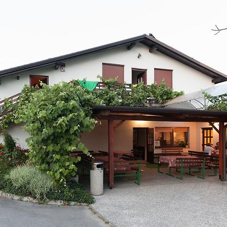 Ratecevo Brdo Janezinovi House 게스트하우스 외부 사진