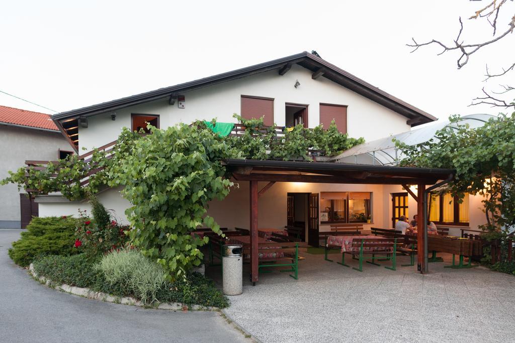 Ratecevo Brdo Janezinovi House 게스트하우스 외부 사진
