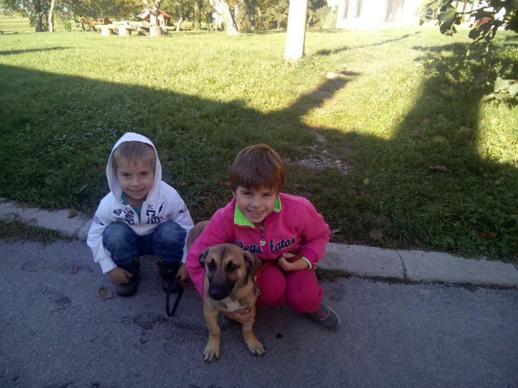 Ratecevo Brdo Janezinovi House 게스트하우스 외부 사진